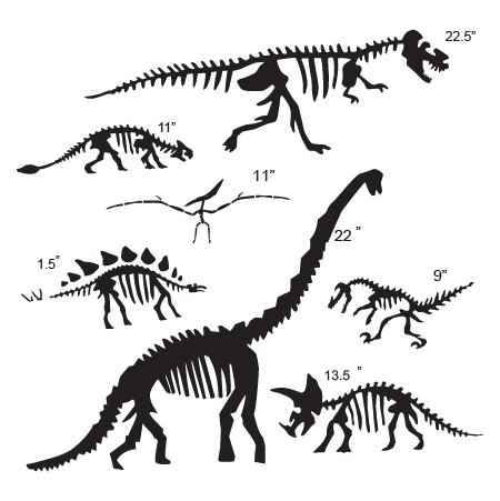 Dinosaur Fossil Collection Wall Quotes™ Wall Art Decal | WallQuotes.com