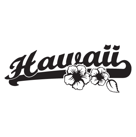 Hawaii Hibiscus Script  Wall  Quotes  Wall Art  Decal  