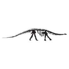 brontosaurus dinosaur fossil wall art decal