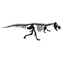tyrannosaurus dinosaur fossil wall art decal