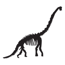 diplodocus dinosaur fossil wall art decal