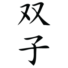 twins chinese symbol wall art decal