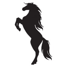 Silhouette of a horse on hind legs