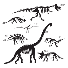 Dinosaur fossils wall decals