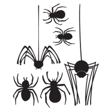 various sized spiders wall decal