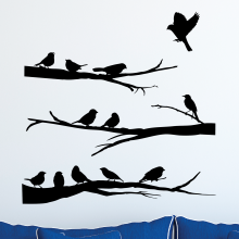 Variety of birds on Branches