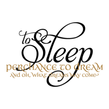 To Sleep Perchance To Dream and Oh What Dreams May Come  two color wall quotes decal