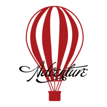 hot air ballon adventure wall decal