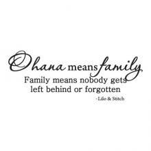 Ohana means family. Family means nobody gets left behind or forgotten. Lilo and Stitch, Disney, Hawaii, Home, movie, 