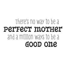 There's No Way to Be a  Perfect Mother(whimsical)