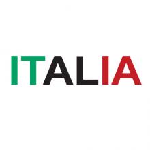 ITALIA wall quotes vinyl lettering wall decal italy italian sport soccer football flag