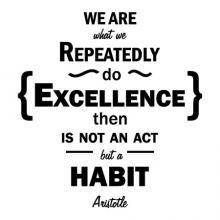 We Are What We Repeatedly Do. Excellence Then Is Not An Act But A Habit. -Aristotle wall quotes vinyl lettering wall decal home decor sticker philosopher stick with it motivational office  