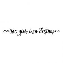 Live Your Own Destiny Wall Quotes vinyl Decal inspiration motivation fate