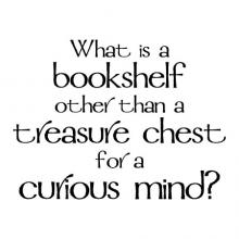 What is a bookshelf other than a treasure chest for a curious mind? wall quotes vinyl lettering wall decal book books read reading library literature school classroom education