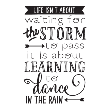 life ins't about waiting for the storm to pass it's about learning to dance in the rain