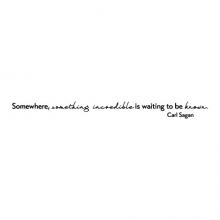 Somewhere, something incredible is waiting to be known. Carl Sagan wall quotes vinyl lettering wall decal home decor vinyl stencil 