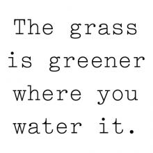 The grass is greener where you water it wall quotes vinyl lettering wall decal home decor vinyl stencil improvement work at it