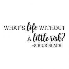 What is life without a little risk? -Sirius Black wall quotes vinyl lettering wall decal home decor vinyl stencil harry potter jk rowling