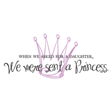 we were sent a princess kids vinyl wall decal