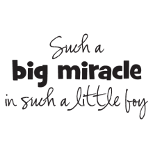 big miracle little boy wall decal