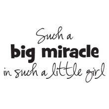 big miracle little girl kids wall quotes decal
