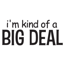 kinda big deal wall decal