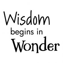 Wisdom begins in wonder wall quotes vinyl lettering wall decal home decor kids play playroom classroom explore learn teach