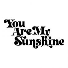 You Are my sunshine vinyl decal home decor vinyl stencil kids room vintage boho