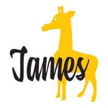 Giraffe custom name wall quotes vinyl decal zoo animal customize personalize