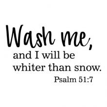 Wash me, and I will be whiter than snow. Psalm 51:7 wall quotes vinyl lettering wall decal home decor religious faith laundry room