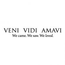 Veni Vidi Amavi We came. We saw. We loved wall quotes vinyl lettering wall decal home decor vinyl stencil wedding love travel