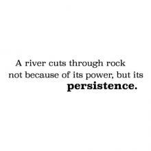 A river cuts through rock not because of its power, but its persistence. wall quotes vinyl decal office home desk professional motivation