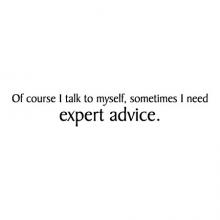 Of course I talk to myself, sometimes I need expert advice wall quotes vinyl lettering wall decals office funny office workspace office space professional