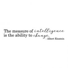 The measure of intelligence is the ability to change. - Albert Einstein wall quotes vinyl lettering wall decal office professional home office desk work place work space 