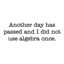 Another day has passed and I did not use algebra once wall quotes vinyl lettering wall decal home decor funny office math teacher