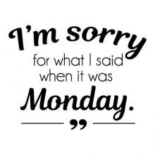 I'm sorry for what I said when it was Monday wall quotes vinyl lettering wall decal home decor vinyl stencil office professional funny office home office desk work