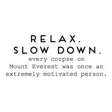 Relax. Slow Down. Every corpse on Mount Everest was once an extremely motivated person. wall quotes vinyl lettering wall decal home decor vinyl stencil office professional funny motivation desk work space