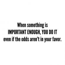 When something is important enough, you do it even if the odds aren’t in your favor. wall quotes vinyl lettering wall decal home decor office motivation 