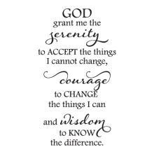 Serenity Prayer Elegant Wall Quotes™ Decal perfect for any home