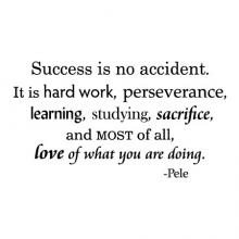 Success is no accident, it is hard work, perseverance, learning, studying, sacrifice, and most of all. love of what you are doing  -Pele
