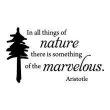 In all things of nature there is something of the marvelous Aristotle wall quotes vinyl lettering wall decal home decor vinyl stencil travel outdoors cabin vacation lake ocean home woods