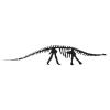 brontosaurus dinosaur fossil wall art decal
