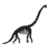 diplodocus dinosaur fossil wall art decal