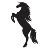 Silhouette of a horse on hind legs