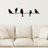 Birds on wire