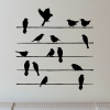 Variety of birds on wires