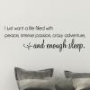 I just want a life filled with peace, intense passion, crazy adventure and enough sleep wall quotes vinyl lettering wall decal home decor bedroom quote headboard
