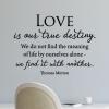 Love is our true destiny. We do not find the meaning of life by ourselves a lone - we find it with another. Thomas Merton