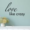 Love Like Crazy wall quotes vinyl lettering wall decal country music lyrics lee brice loving true love wedding marriage anniversary first dance song