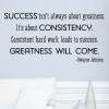 Success isn't always about greatness. It's about consistency. Consistent hard word leads to success. Greatness will come - Dwayne Johnson wall quotes vinyl lettering wall decal sports quotes home decor the rock 